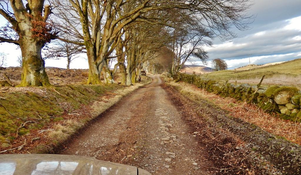Scotland Paradise Relax Accommodation By Shooting Club Kirriemuir Balintore  Eksteriør bilde
